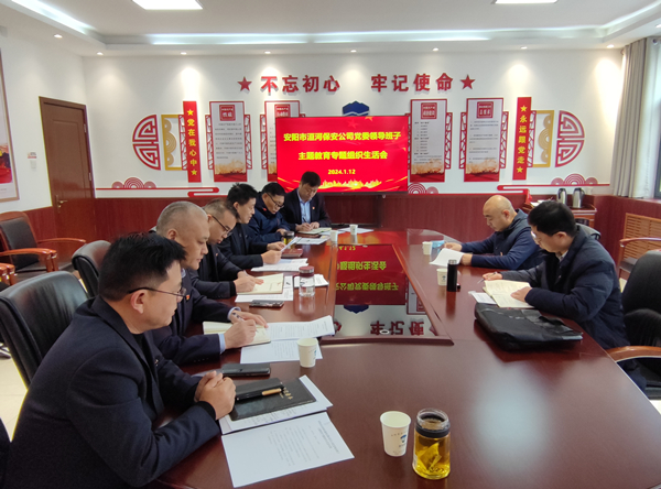 公司黨委領(lǐng)導(dǎo)班子召開(kāi)主題教育專(zhuān)...